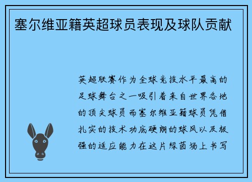 塞尔维亚籍英超球员表现及球队贡献