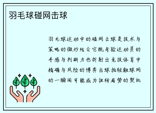 羽毛球碰网击球